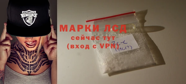 гашик Аркадак
